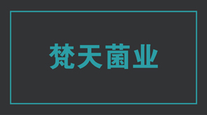 食品行业山东冲锋衣设计款式